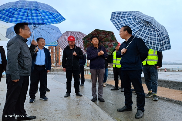 滁州市委書記赴滁陽(yáng)路橋調(diào)研 (1).jpg